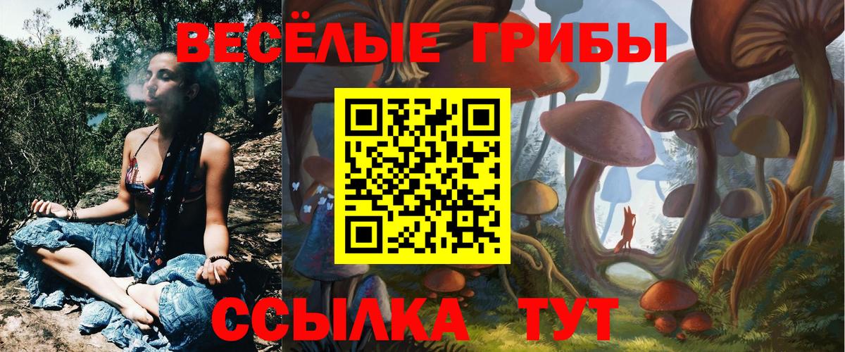 Галлюциногенные грибы Psilocybine cubensis Всеволожск