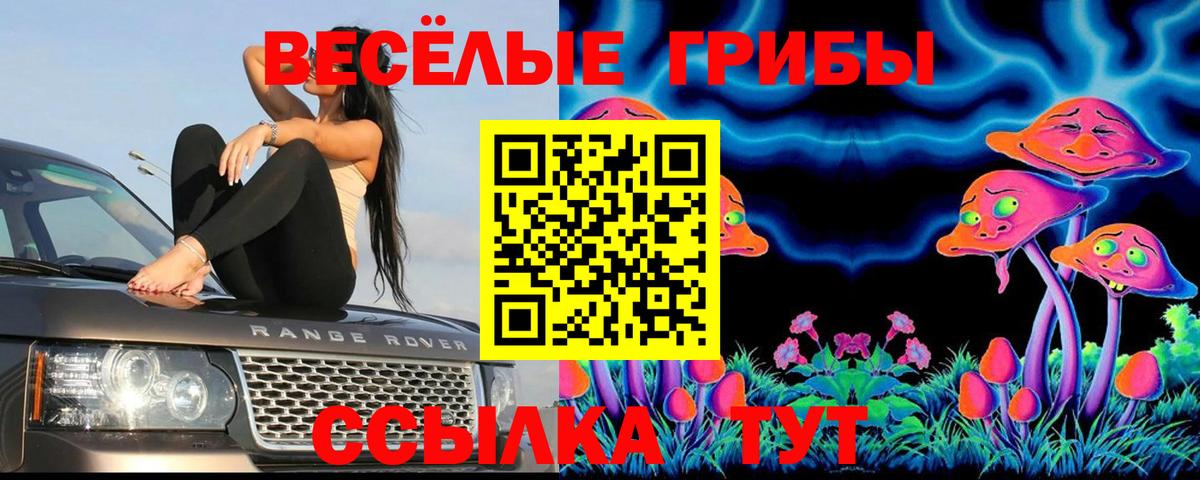 Всеволожск  Галлюциногенные грибы Cubensis  Вход с VPN 